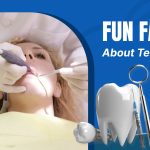 Fun Fact About Teeth