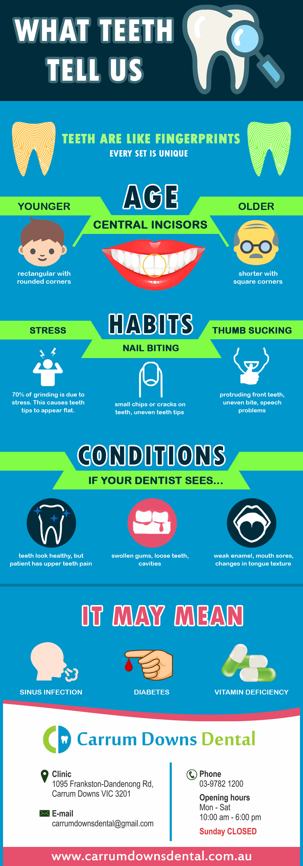 What Teeth Tell Us - Dental Infographics