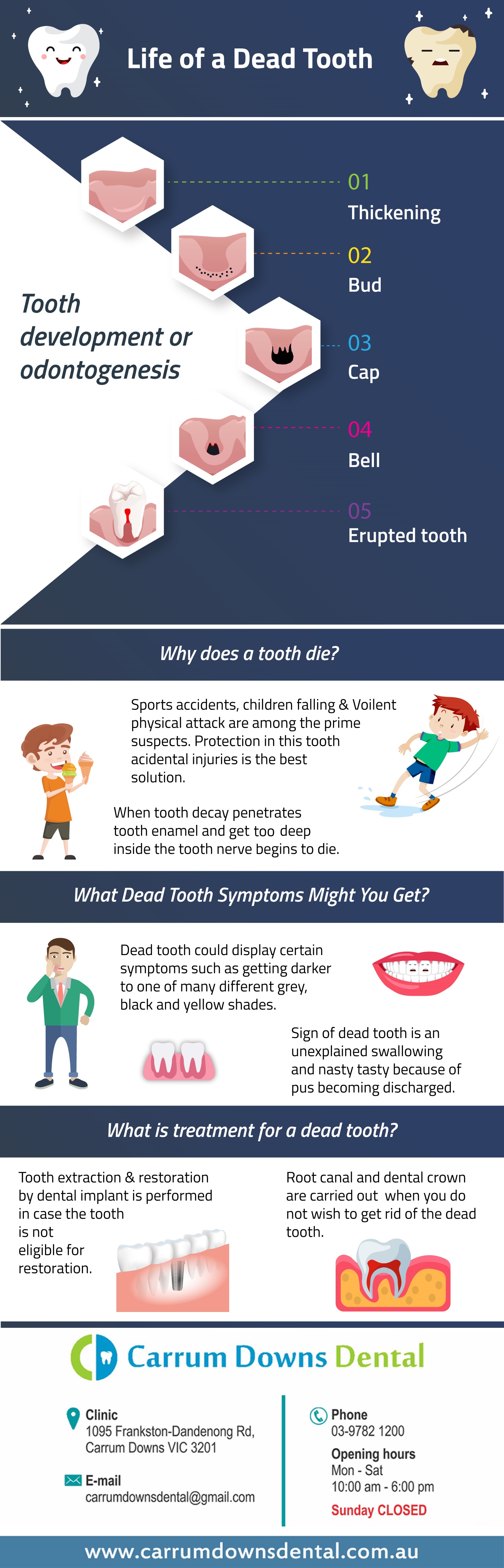 Life of Dead Tooth - Infographics