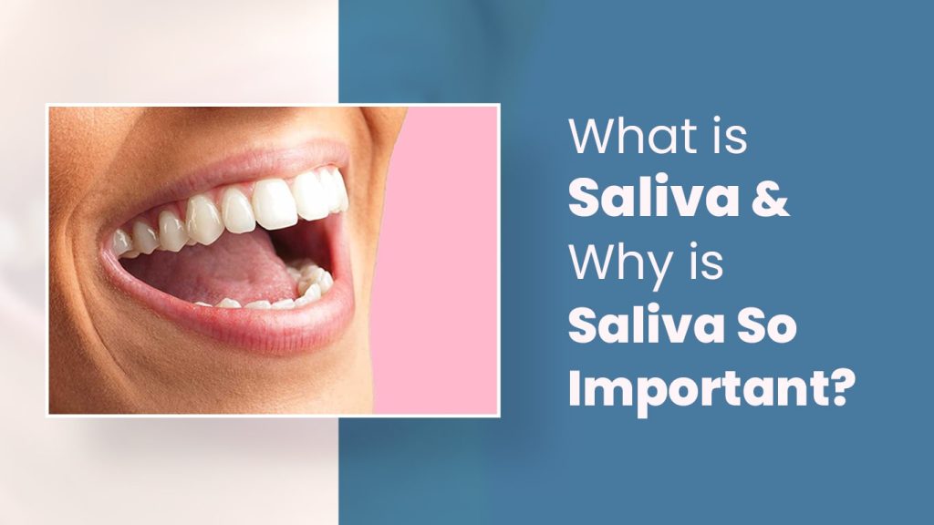 saliva